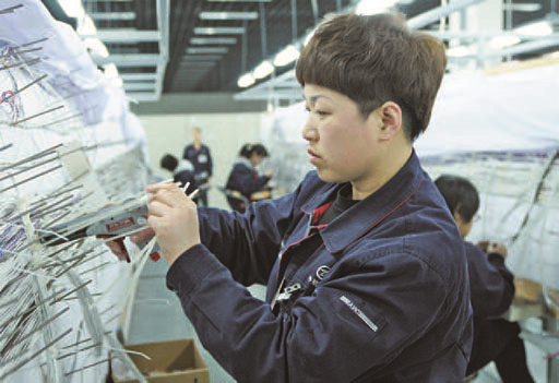 双手织就航空梦——记全国三八红旗手、佳博(中国)沈飞线束厂技师郑秋菊